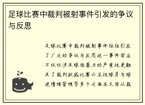 足球比赛中裁判被射事件引发的争议与反思