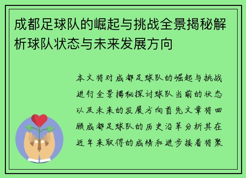 成都足球队的崛起与挑战全景揭秘解析球队状态与未来发展方向